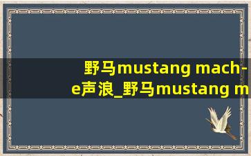 野马mustang mach-e声浪_野马mustang mach-e钥匙